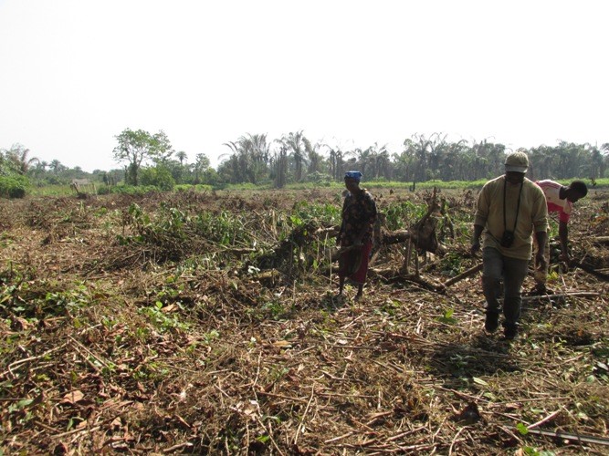 Agricultural Program in Liberia, West Africa